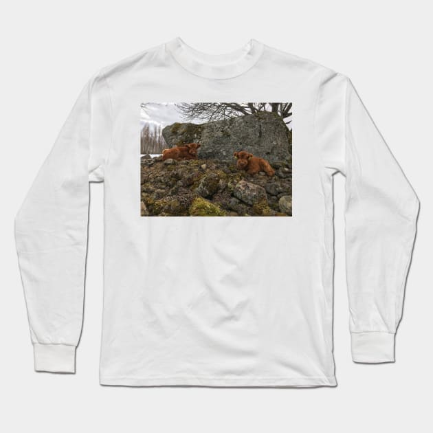 Scottish Highland Cattle Calves 1743 Long Sleeve T-Shirt by SaarelaHighland